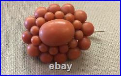 Antique 18K Yellow Gold and Natural Coral Pin Very Nice Color