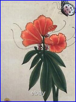 Antique Persian Miniature Painting Flowers With Butterfly Very Nice 2 Of 2