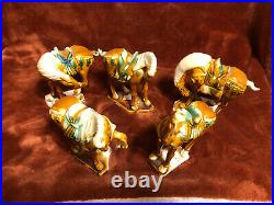 Chinese Tang Dynasty Terracotta HorsesSet of 5Very Nice