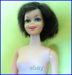 Francie's Friend Casey Very Nice With Bruntte Hair Great Doll