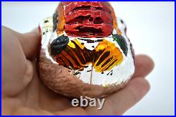 German Antique Glass Double Sided Turkey Christmas Ornament MUST SEE. VERY NICE