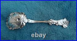 Poppy by Paye and Baker 5 1/2 long Sterling sugar spoon no mono Very Nice
