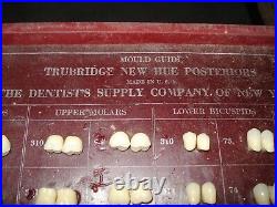 RARE Antique URANIUM Posteriors Dental Tooth Display Dentsply Very NICE SET