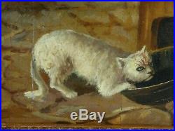 Top 19th Century Oil Panel Painting Child Afraid Of Cat Very Nice Lovely Antique