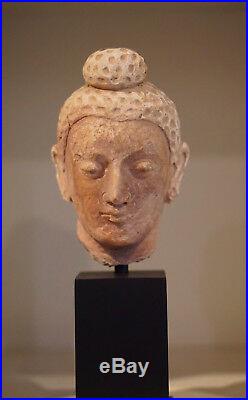 Very Nice Authentic 3-4th Century A. D. Gandhara Stucco Gautama Buddha Head