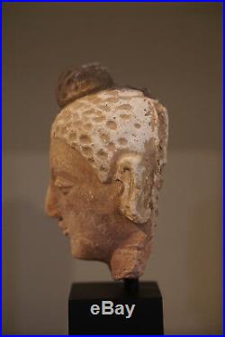 Very Nice Authentic 3-4th Century A. D. Gandhara Stucco Gautama Buddha Head