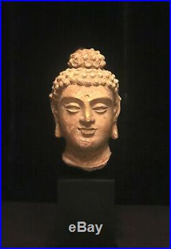 Very Nice Authentic 6th Century A. D. Gandhara Stucco Gautama Buddha Head