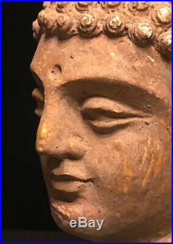 Very Nice Authentic 6th Century A. D. Gandhara Stucco Gautama Buddha Head