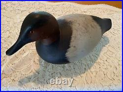 Very Nice Canvasback Decoy, Unknown Carver, Solid, Great Addition To Collection