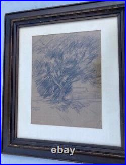 Very Nice Charcoal & Chalk Sketch Of Tree On Kraft Paper Signed Roy C. Gamble