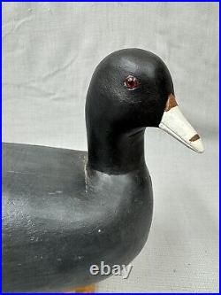 Very Nice Turned Head Coot Decoy signed Williard Chauvin Sr. Raceland, LA