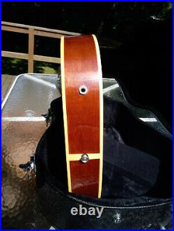 Very nice 1994 Alvarez 5080N Thinline Acoustic / Electric Guitar