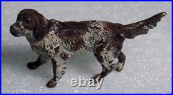 Very nice antique Vienna bronze English Springer Spaniel hunting dog