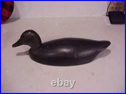 Vintage, Very Nice J. R. Wells Black Duck Decoy/canadian Decoy/decoys/hunting